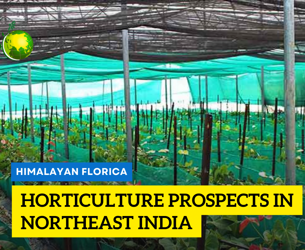 horticulture in northeast india